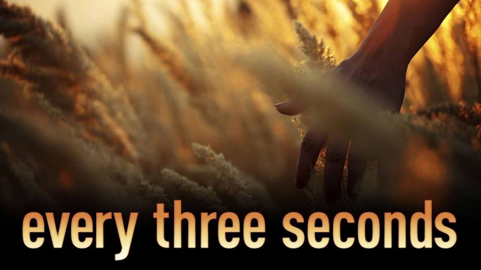 Every Three Seconds (available on demand)